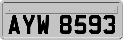 AYW8593