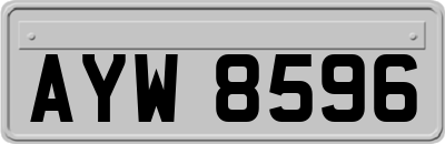 AYW8596