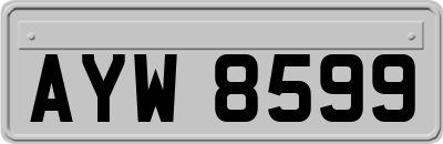AYW8599