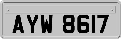 AYW8617