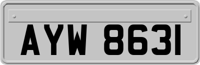 AYW8631