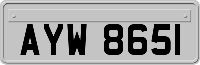 AYW8651