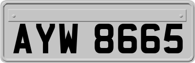 AYW8665
