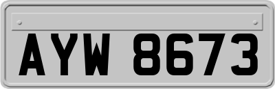 AYW8673