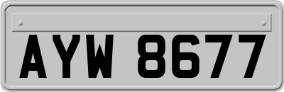 AYW8677