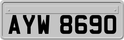 AYW8690