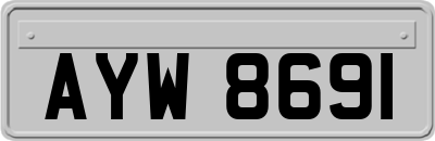 AYW8691