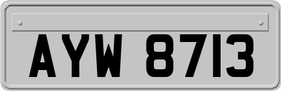 AYW8713