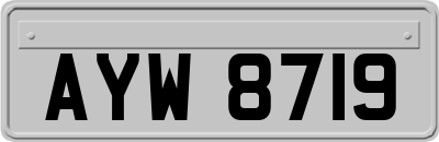 AYW8719