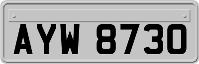 AYW8730