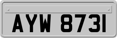 AYW8731