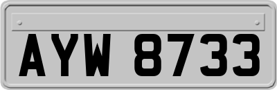 AYW8733