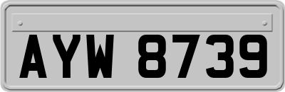 AYW8739
