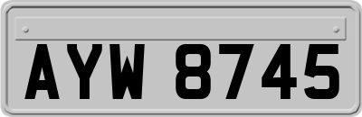 AYW8745