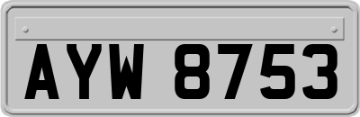 AYW8753