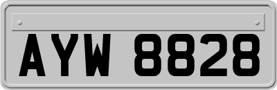 AYW8828
