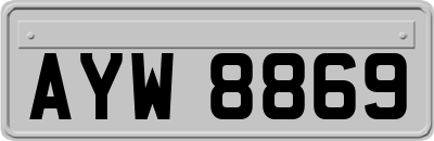 AYW8869