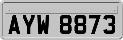 AYW8873