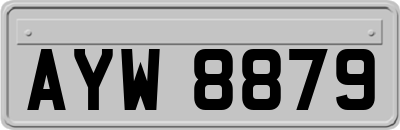 AYW8879