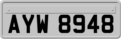 AYW8948