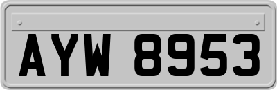 AYW8953