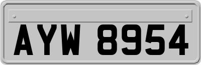 AYW8954