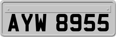 AYW8955