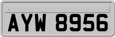 AYW8956