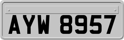 AYW8957