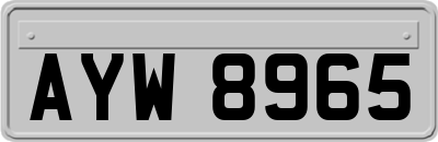 AYW8965