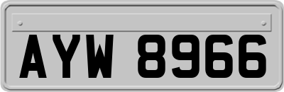 AYW8966