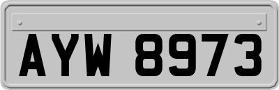 AYW8973