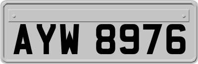 AYW8976