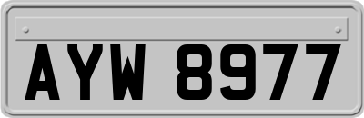 AYW8977