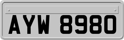 AYW8980