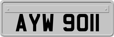 AYW9011