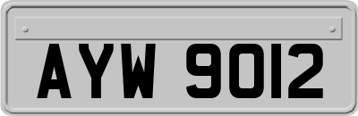 AYW9012