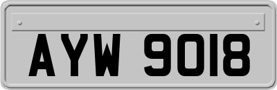 AYW9018