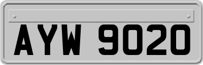 AYW9020
