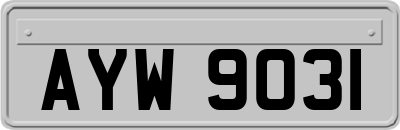 AYW9031