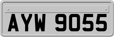 AYW9055