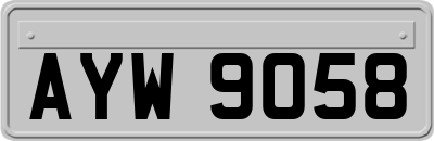 AYW9058