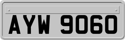 AYW9060