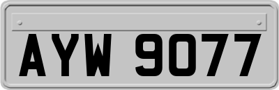 AYW9077