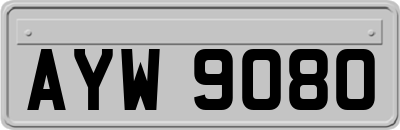 AYW9080