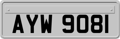 AYW9081