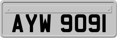 AYW9091