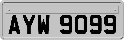 AYW9099