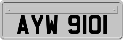 AYW9101