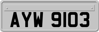 AYW9103